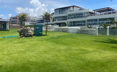 Demonstração de gramado natural da itograss Demonstração de gramado natural da itograss instalado em uma área comercial