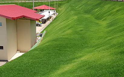 Planejamento do gramado Implantação de um gramado