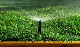 Saiba como irrigar corretamente o seu gramado