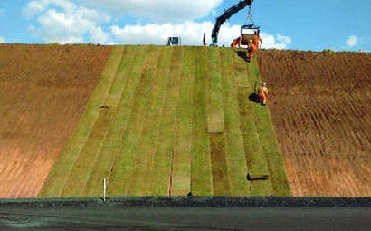 Grama Esmeralda Itograss em rodovia Grama Esmeralda Itograss em rodovia