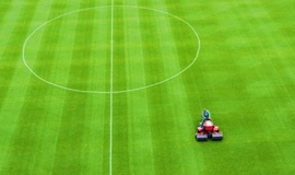 Listras nos Campos de Futebol