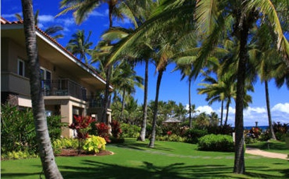 TIPOS DE GRAMAS MAIS RESISTENTES À SOMBRA Gramas mais resistentes à sombra