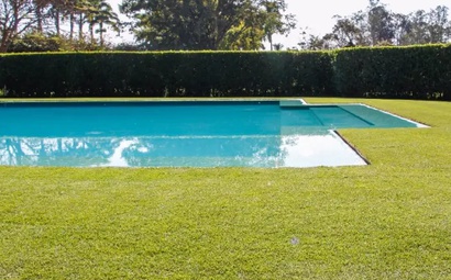 Grama verde com zoom grama verdinha em volta de uma piscina
