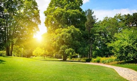 Cuidados com os gramados em época de baixa umidade