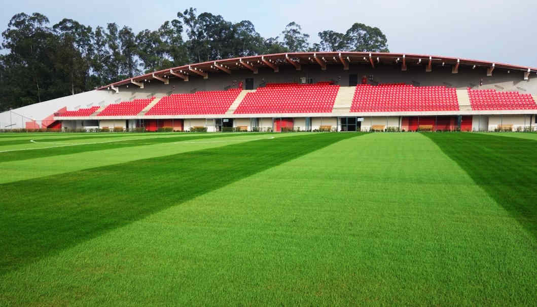 São Paulo Futebol Clube Gramado São Paulo Futebol Clube