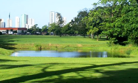 Caxangá Golf Country Club Grama ideal para resorts e campos de golf - Caxangá Golf Country Club