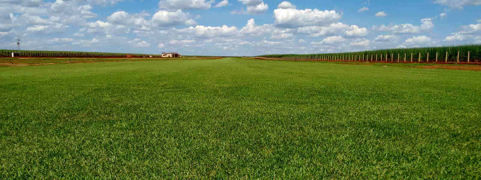 Condomínio Aeronáutico Pontal Fly-in grama para Condomínio - Aeronáutico Pontal Fly-in