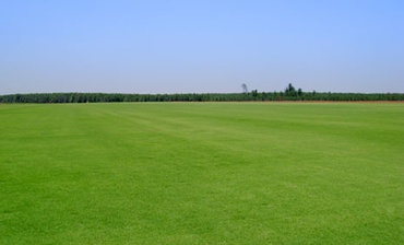 Condomínio Helvetia Village Grama para Condomínio Helvetia Village