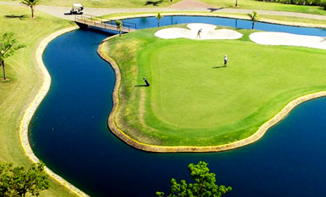 Dahma Grama ideal para resorts e campos de golf - Dahma