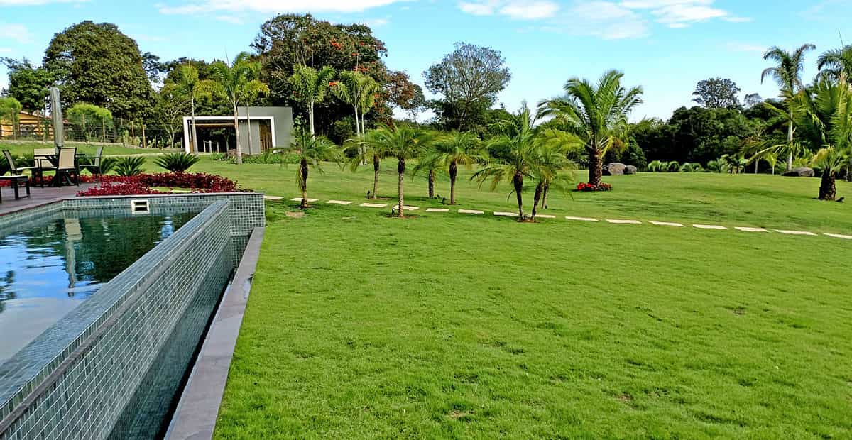 Jardim Residencial Grama para Paisagismo - Jardim Residencial