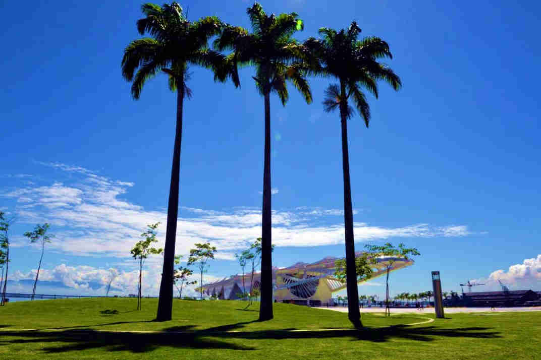 Museu do Amanhã Paisagismo Obra Museu do Amanhã