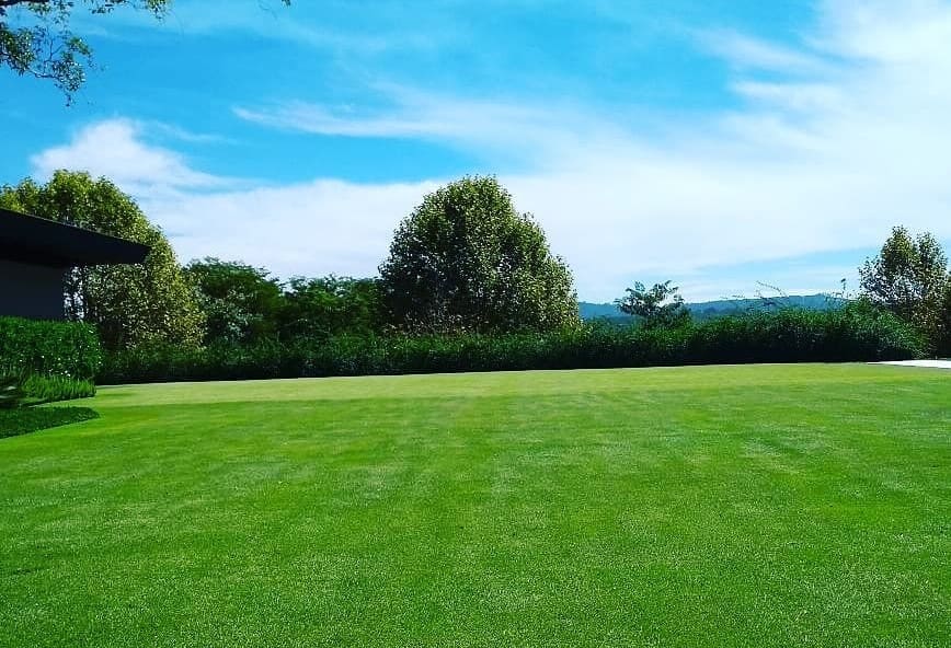 Casa de Campo - Quinta da Baronesa Grama para Casa de Campo - Quinta da Baronesa