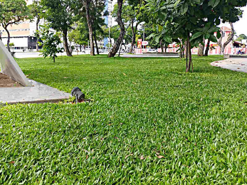 Parque da Lagoa Grama para parques públicos - Parque da Lagoa
