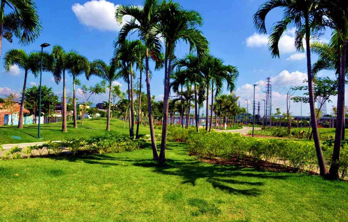 Parque da Madureira Grama usada em Parque da Madureira