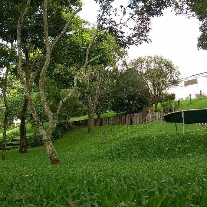 Grama São Carlos Plus grama são carlos plus ideal para casa de campo