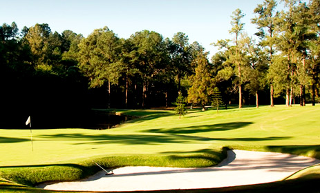 São Fernando Club Golf Grama ideal para campos de golf - São Fernando Club Golf