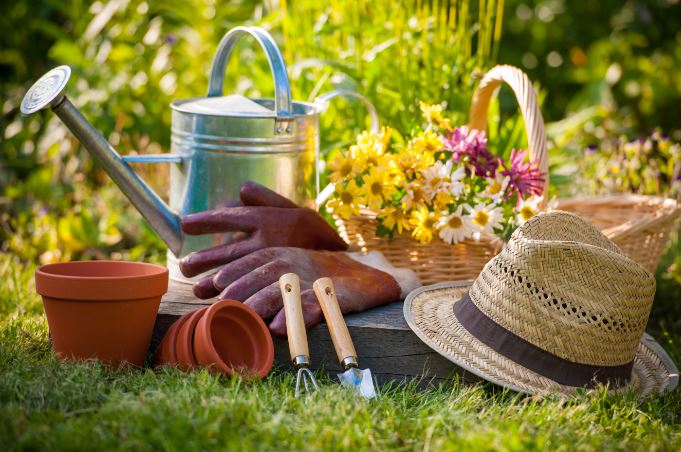 adubo para grama saiba como adubar seu gramado