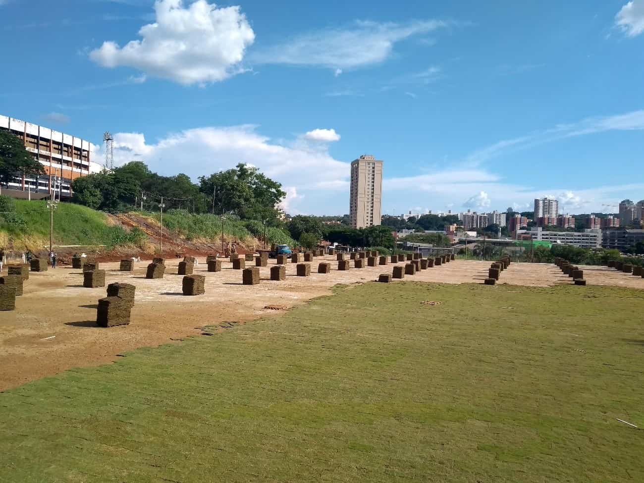 paletes grama paletes grama em obra