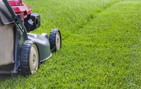poda da grama dicas de como podar a grama