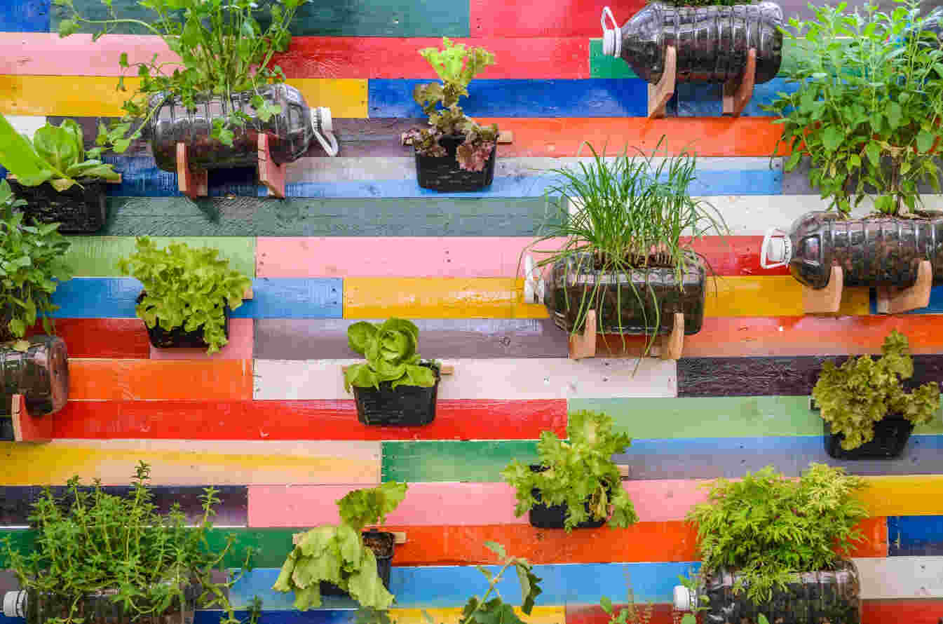 Jardim Vertical - Itograss Jardim Vertical - Itograss