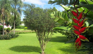 Grama mais bonita é Esmeralda Itograss Grama mais bonita é Esmeralda Itograss