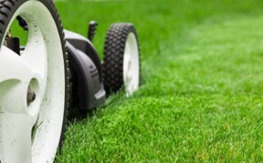 Frequência de poda em gramados Frequência de poda em gramados