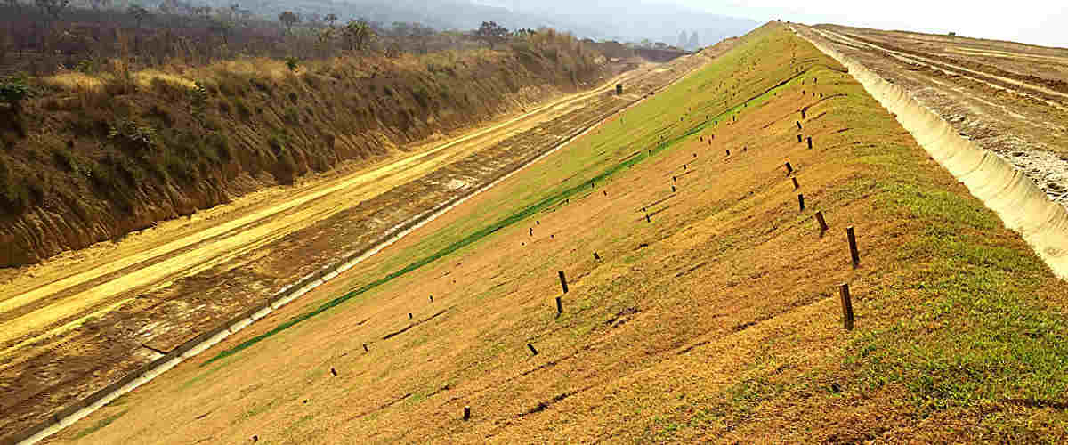 grama esmeralda imperial é usada em rodovias grama esmeralda imperial é usada em rodovias