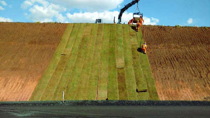 Grama Esmeralda Itograss em rodovia Grama Esmeralda Itograss em rodovia