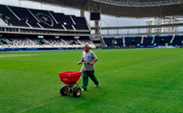 Gramado de Futebol - A semeadura de inverno ou overseeding Sementes de inverno - Gramado de Futebol