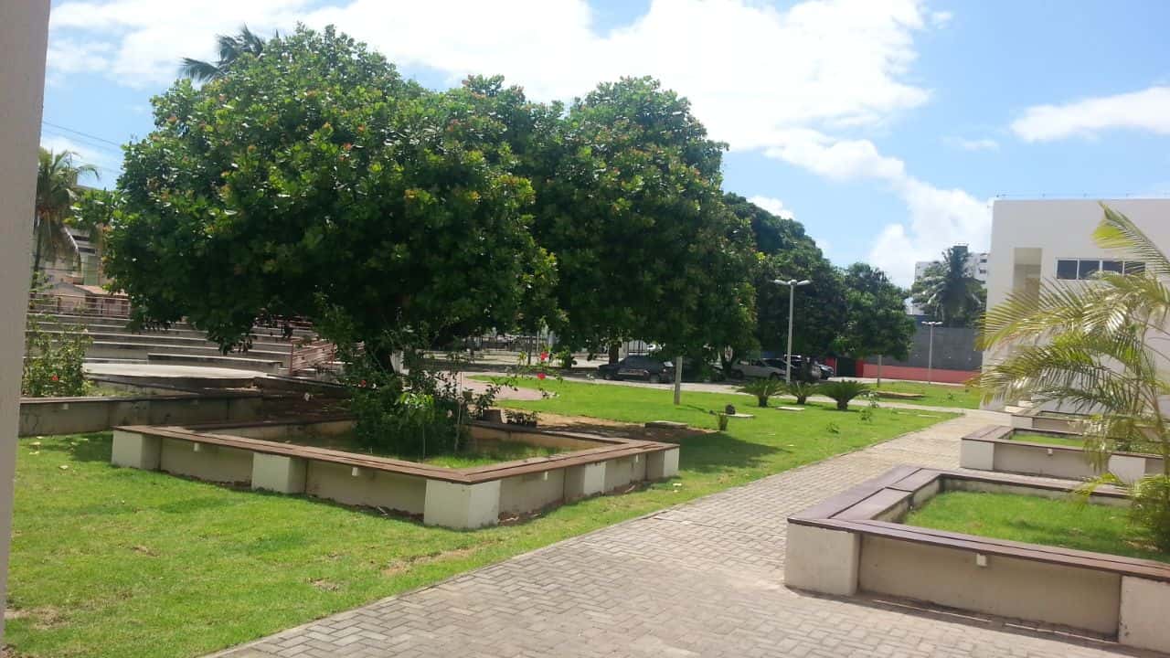 Grama Itograss - Escola Grama Esmeralda Itograss - Escola