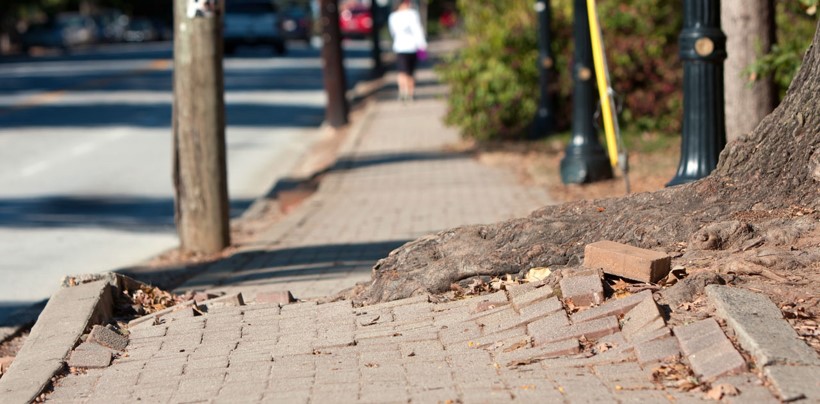 Árvores plantadas em calçadas Árvores plantadas em calçadas