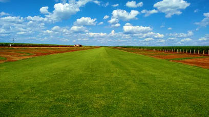 Pista de Pouso com grama Itograss Pista de Pouso com grama Itograss
