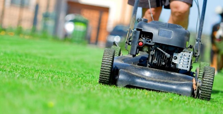 como podar o gramado como podar o gramado