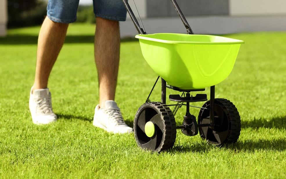 como adubar a grama como adubar a grama
