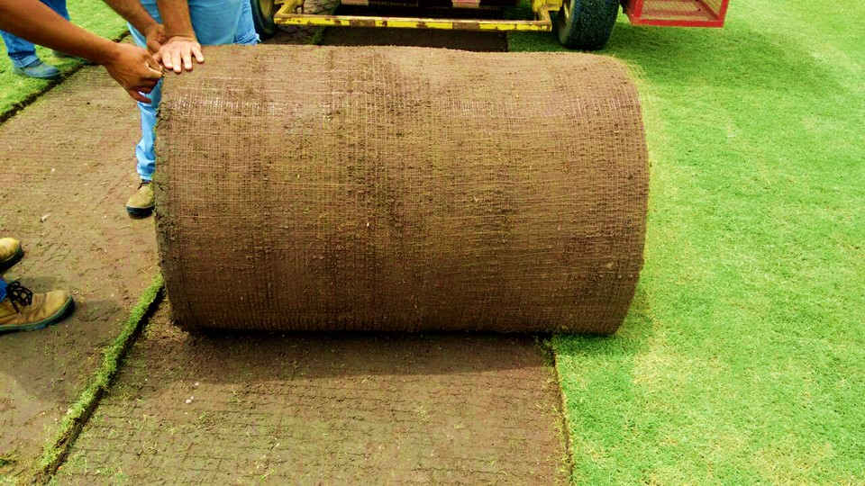 Plantio de grama - Arena do Flamengo Plantio de grama - Arena do Flamengo