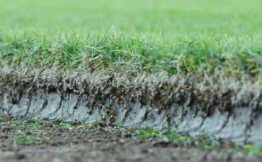 gramado estádio futebol bermudas celebration ready to play