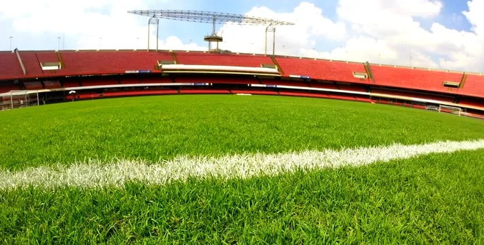 ESTÁDIO DO MORUMBI - GRAMADO A importância do gramado natural para o espetáculo do futebol no Morumbi