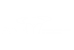 anp anp